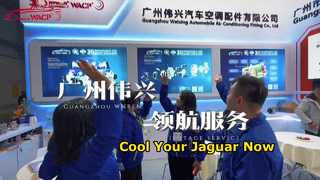 Автомобильные компрессоры переменного тока для мировых рынков